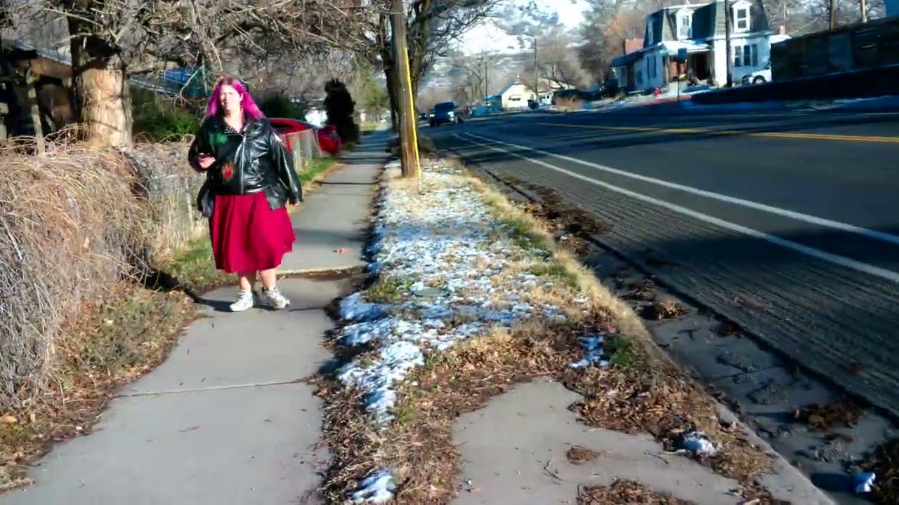 Jan 09 2026 - SnowFall Walk Part 2