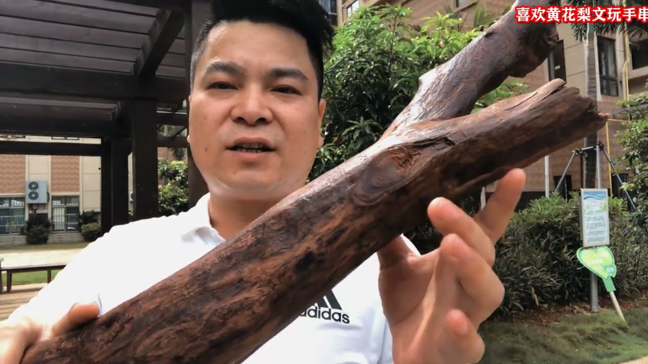 探索自然之美，花1500块钱一斤收回来的海南黄花梨老料