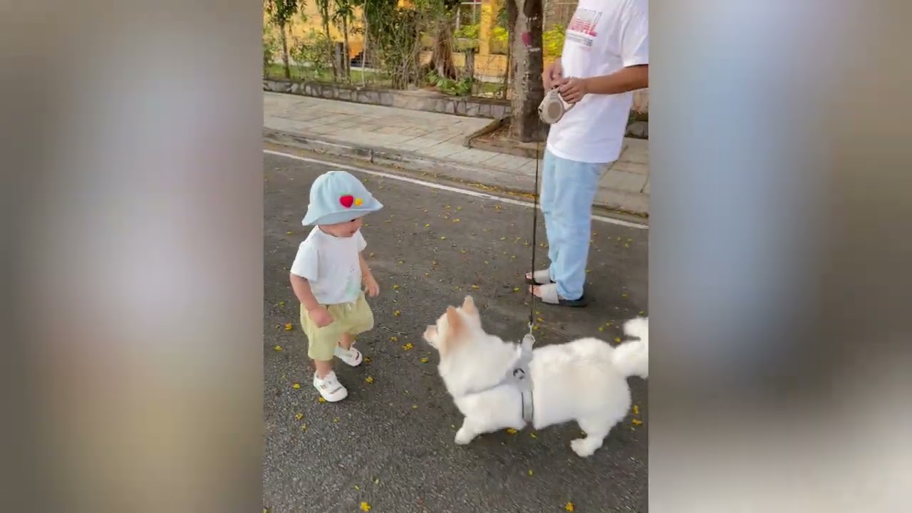Ba Mẹ cho hai anh em đi chơi 👶💛🐶 