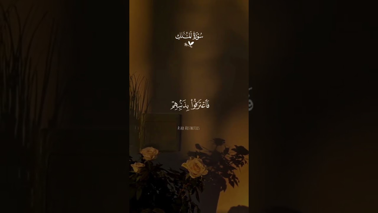 It's my First edit   and please subscribe me and please like my all videos on tiktok Asad Bilal.38