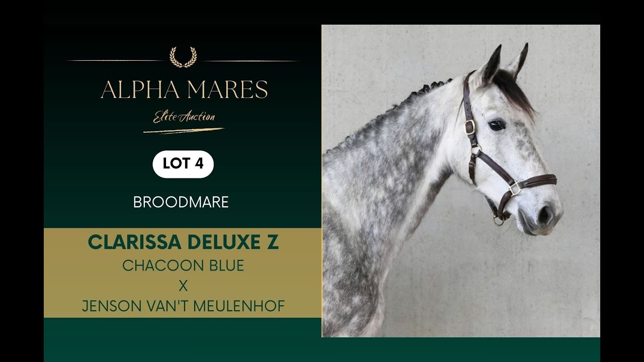 Alpha Mares Auction - Elite Broodmares - LOT 4