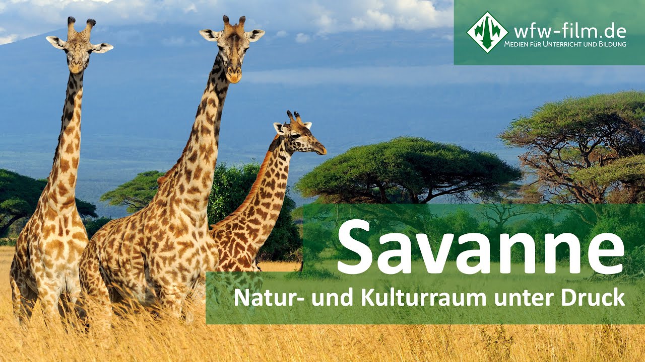 Savanne – Natur- und Kulturraum unter Druck