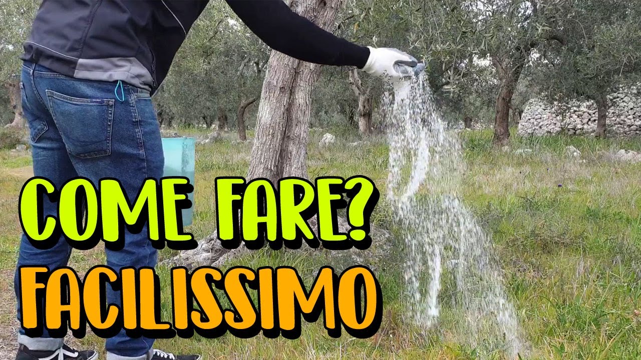 CONCIMARE CON IL SOLFATO AMMONICO