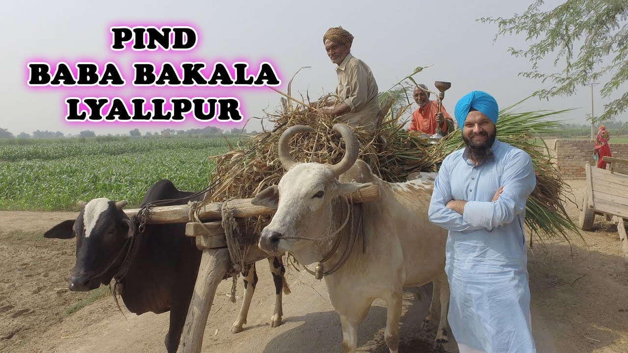 Yaddan Layallpur  55 JB Baba Bakala Diyan !! Harbhajan Singh,s Ancestral village in Pak