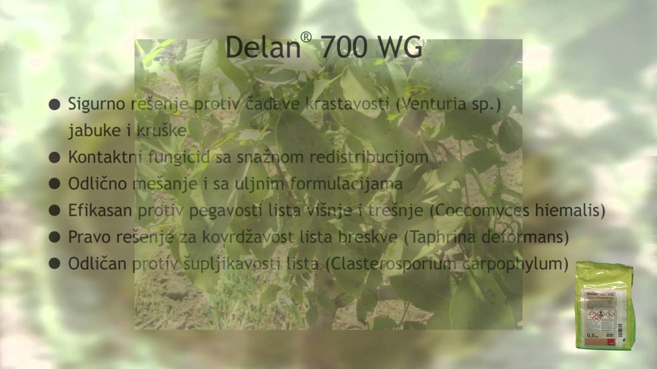 BASF škola zaštite bilja- Delan® 700 WG