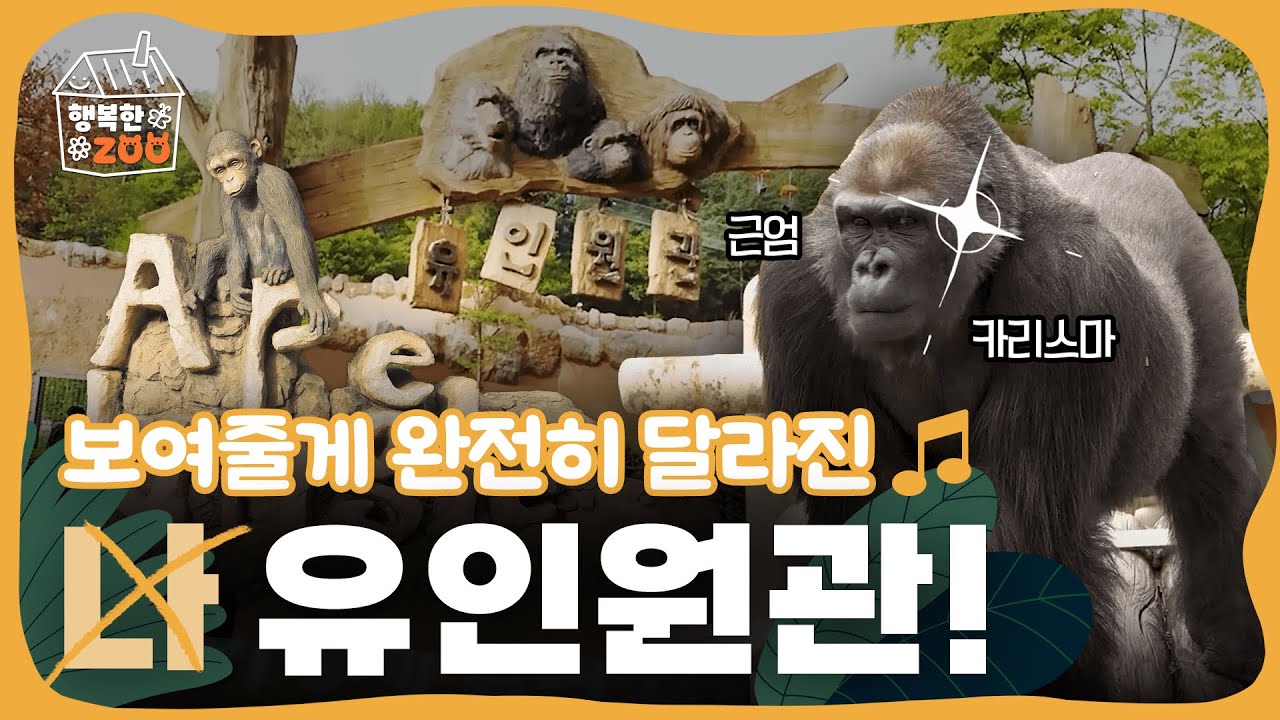 봄을 맞아 새 단장을 한 유인원관, 이렇게 달라졌어요! 👀✨
