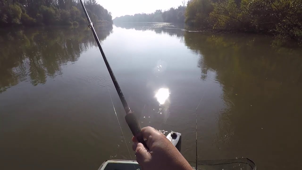 OKUMA LONGBOW..AMUR FISHING.10 KILÓS TISZAI AMÚR IS LEHETETT UTÓLAG BELEGONDOLVA..AGYON MEGINDULT...