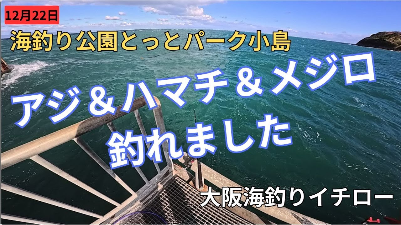 海釣り公園とっとパーク小島　アジ＆ハマチ＆メジロ釣れました
