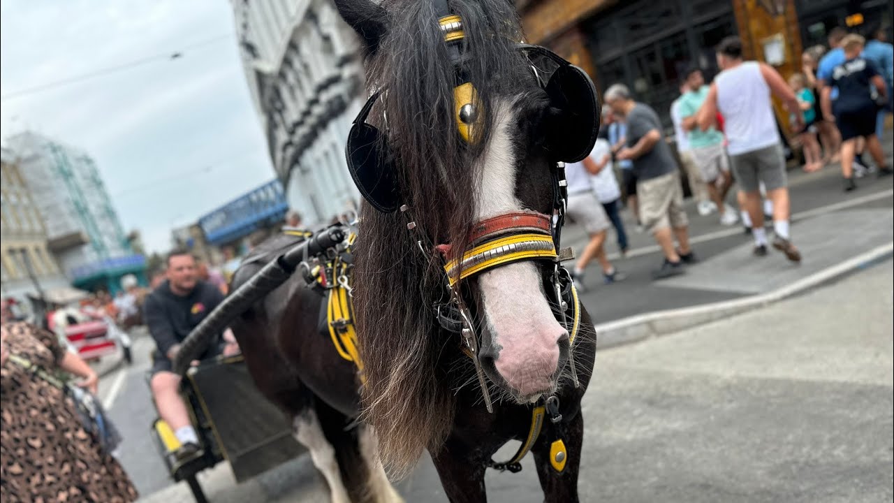 London horse drive 18/06/23