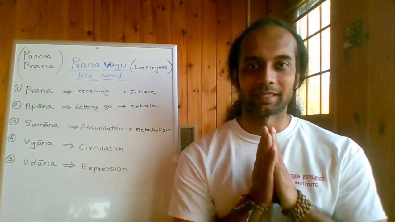 What is Prana ?