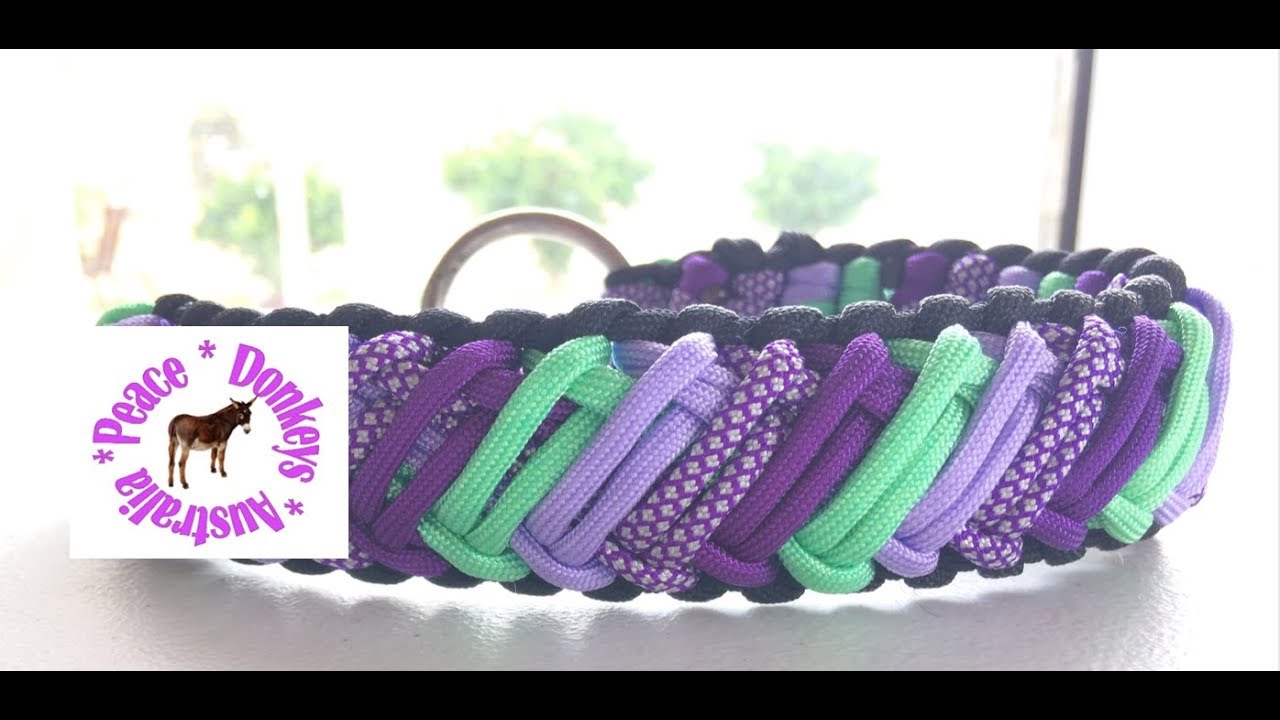 Five colour  Zed  (