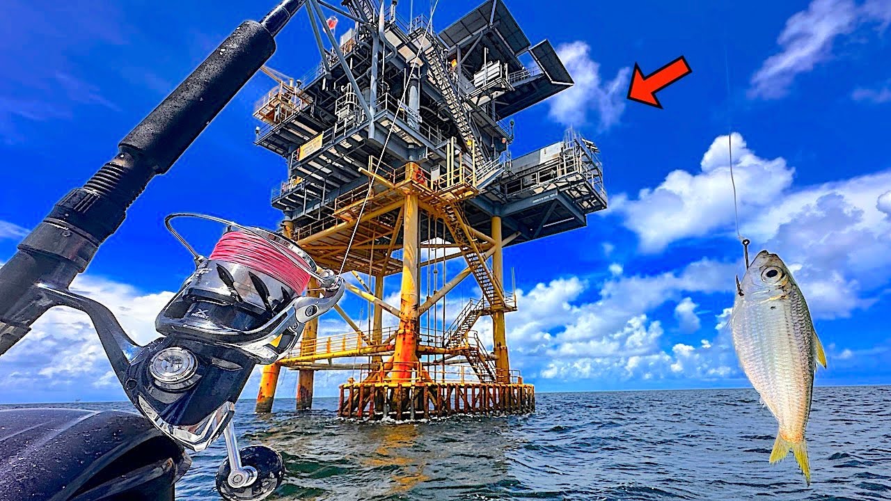Fishing a LIVE BAIT! under this GAS PLATFORM for my DINNER! [Catch, Clean, Cook]