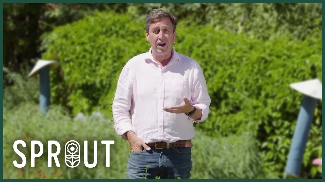 How to Revive Your Garden After Drought and Bushfire - Expert Tips