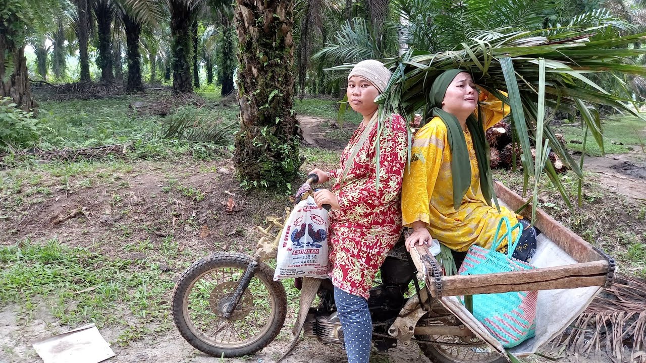 Episode 10 eda eda mencari lidi tapi di tuduh mencuri sawit