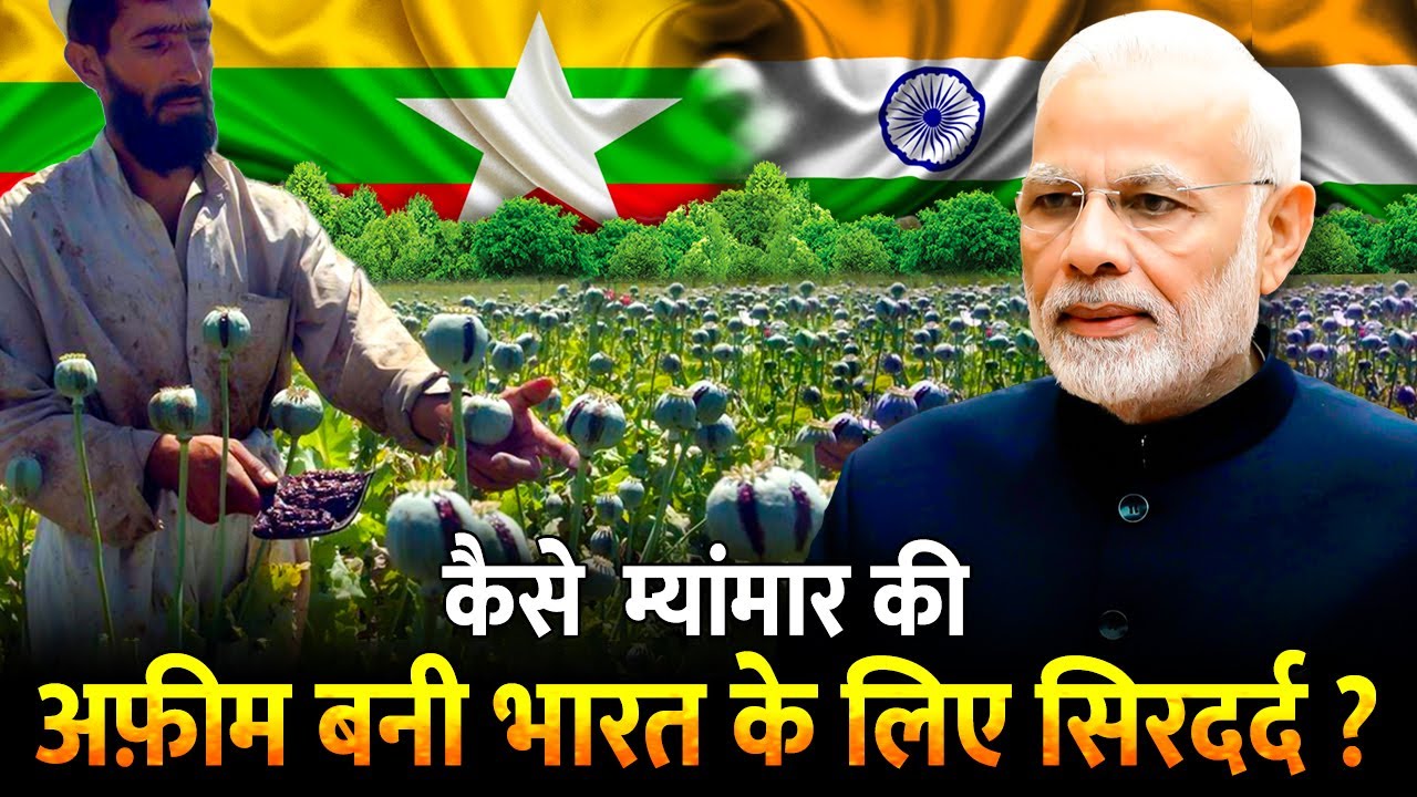 Myanmar कैसे बन रहा है अफीम की खेती का गढ़ ? | How Myanmar Is Becoming Opium Hub ?