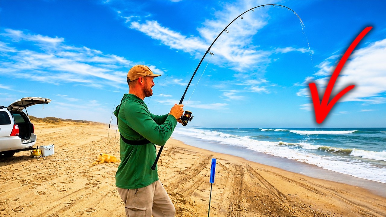 MOST I've Caught of THIS SPECIES Surf Fishing - NC Surf Fishing