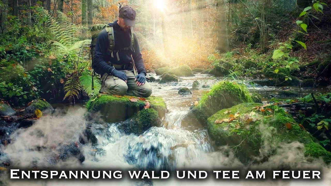 Tiefe Entspannung im Wald & Tee am Feuer