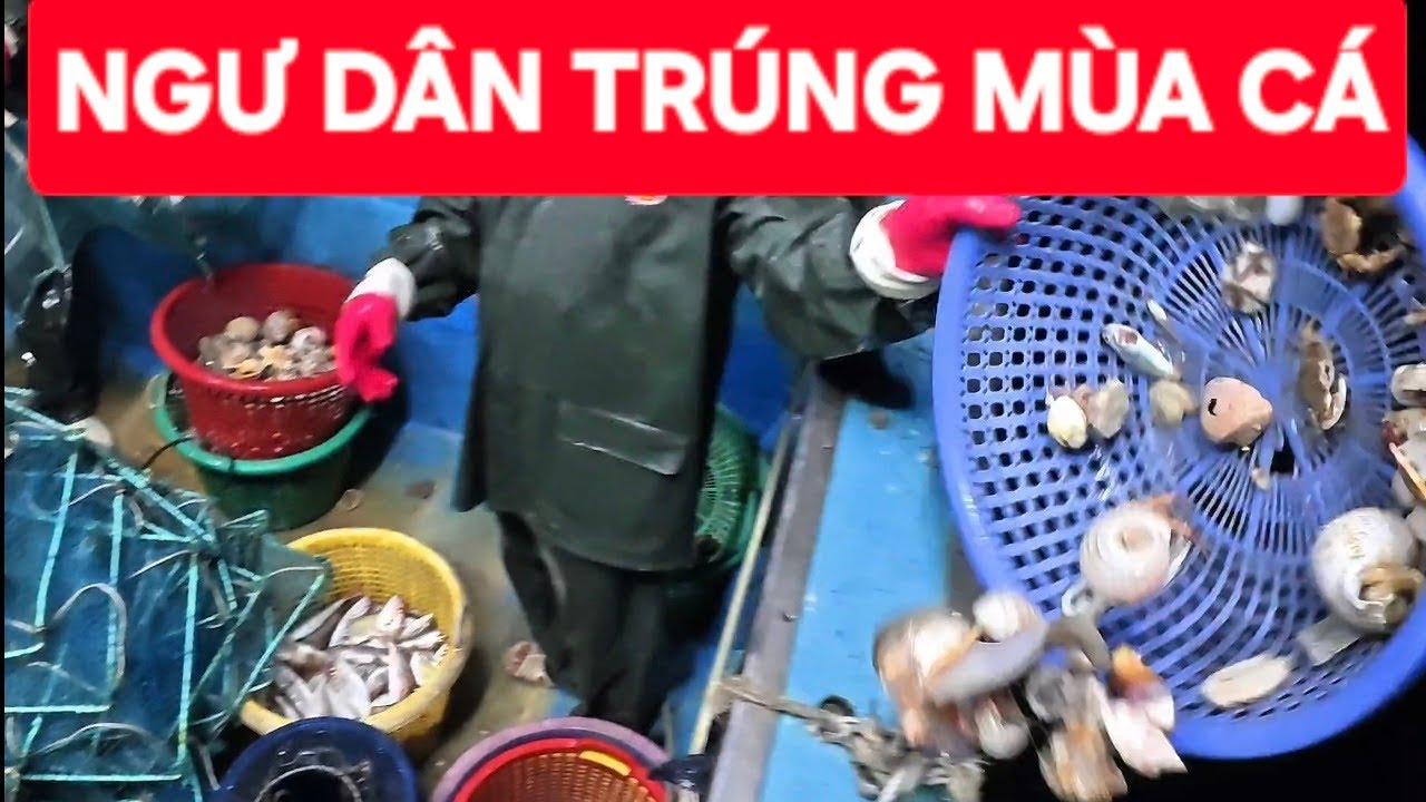 Một đêm bội thu | hải sản tươi sống