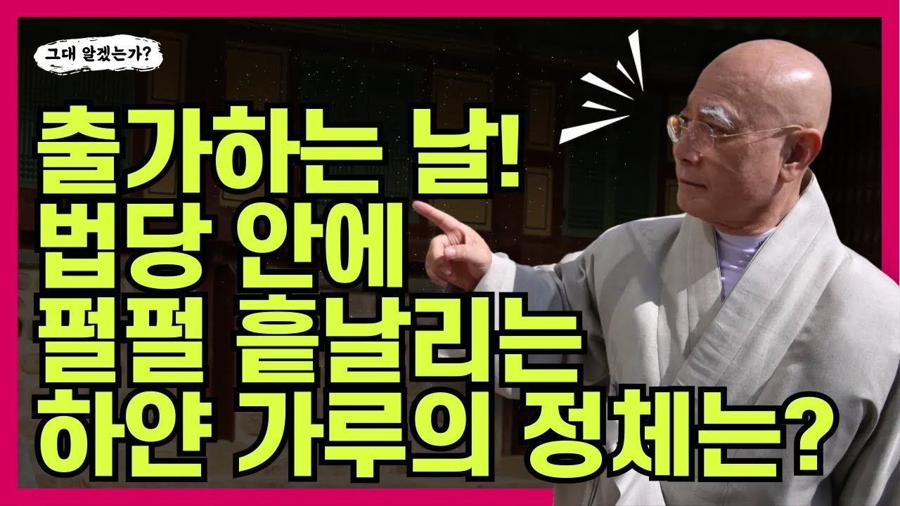 출가하는 날! 법당 안에 펄펄 흩날리는 하얀 가루의 정체는? 55화 #무명사#무명스님#회룡선원#그대알겠는가#가피이야기#업장#가피#건강#천도재
