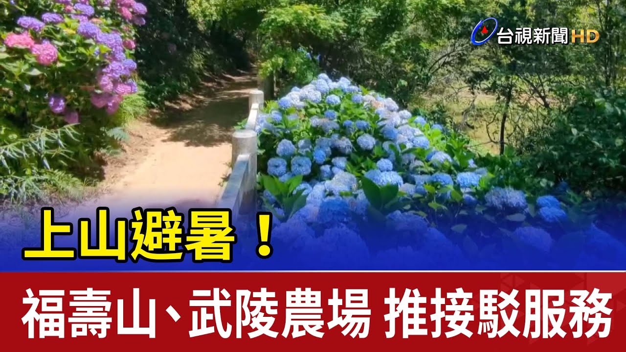 上山避暑！福壽山、武陵農場 推接駁服務