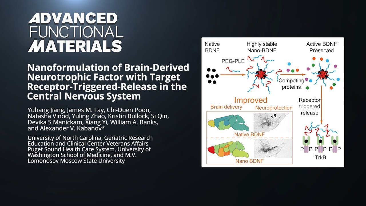 Brain-Derived Neurotrophic Factor with Release in the Central Nervous System