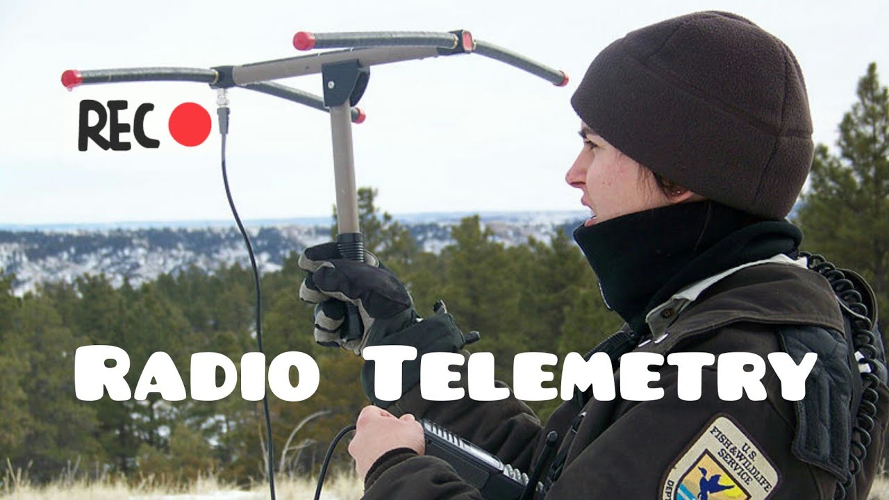 Radio Telemetry ,Radio Telemetric system in Wildlife tracking techniques in Wildlife biology By Numi