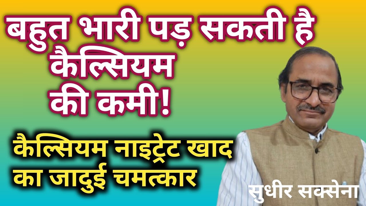 कैल्सियम नाइट्रेट का फसलों में उपयोग। कैल्सियम नाइट्रेट खाद क्यों। टमाटर मिर्ची फलो का राजा कैल्सियम