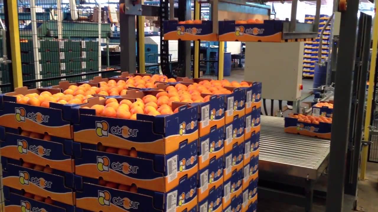 Robotec & Packing - Paletizador RPC600