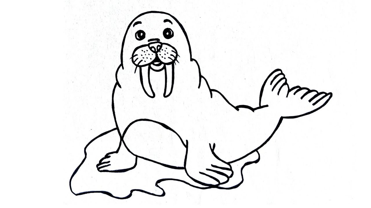 Learn how to draw Seal 🦭 || Seal step by step drawing || 