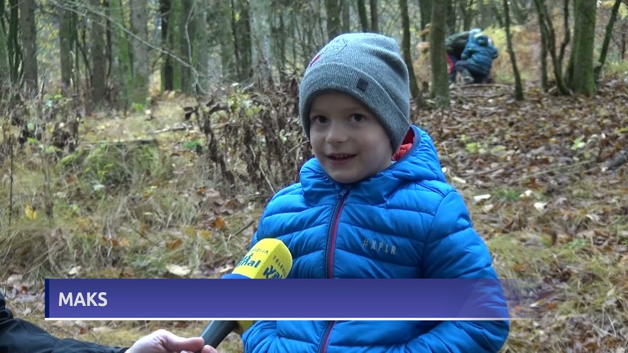 Gozdna pedagogika OŠ Veliki Gaber