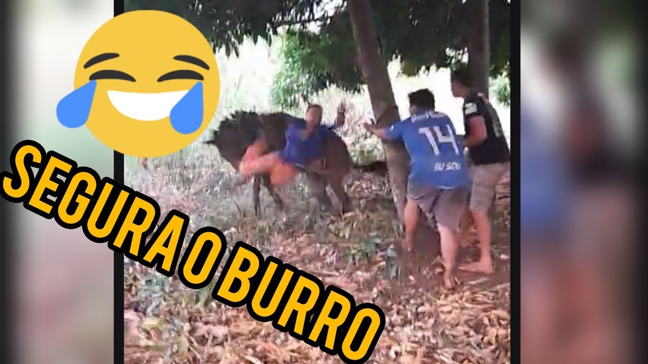 v&iacute;deos engra&ccedil;ados e memes 😅, Vamos Sorrir ( #Segura o Burro doido).😂🤣😱🐴🐴.