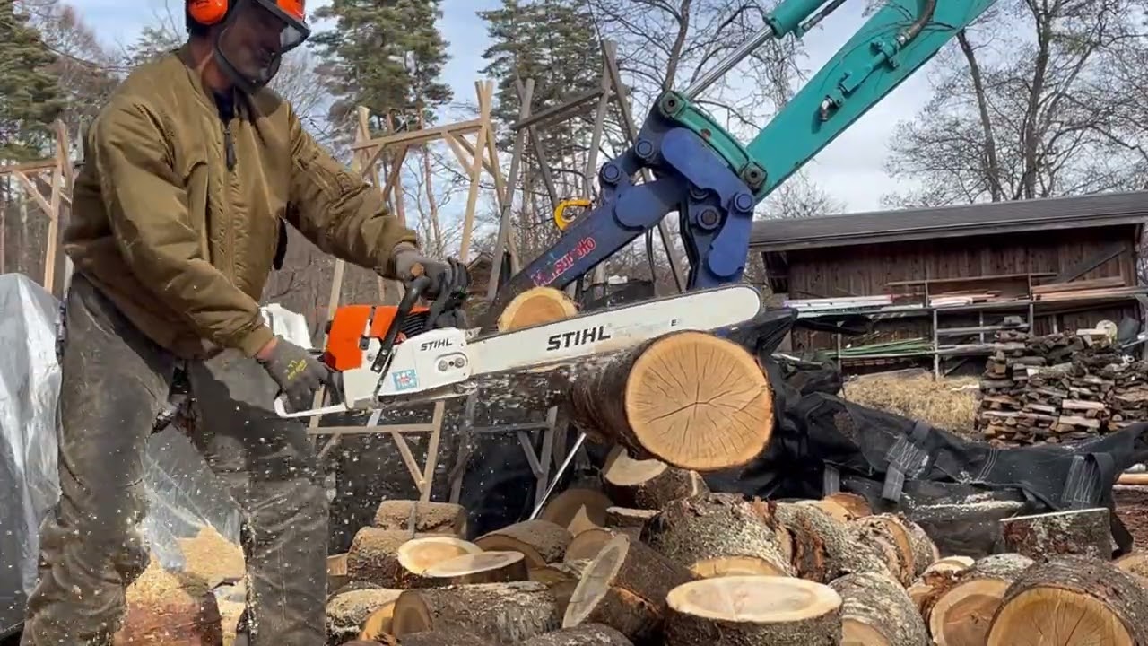 広葉樹の玉切り作業