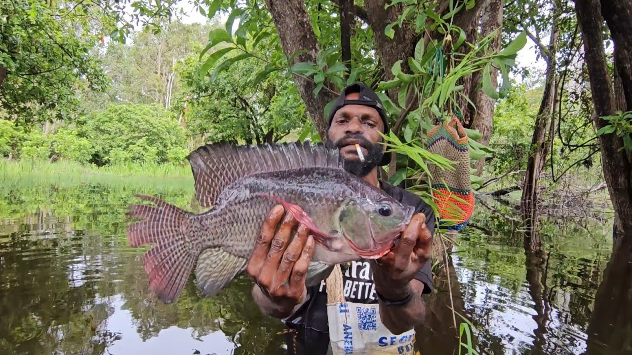 Catching fish with nets to burn in the forest