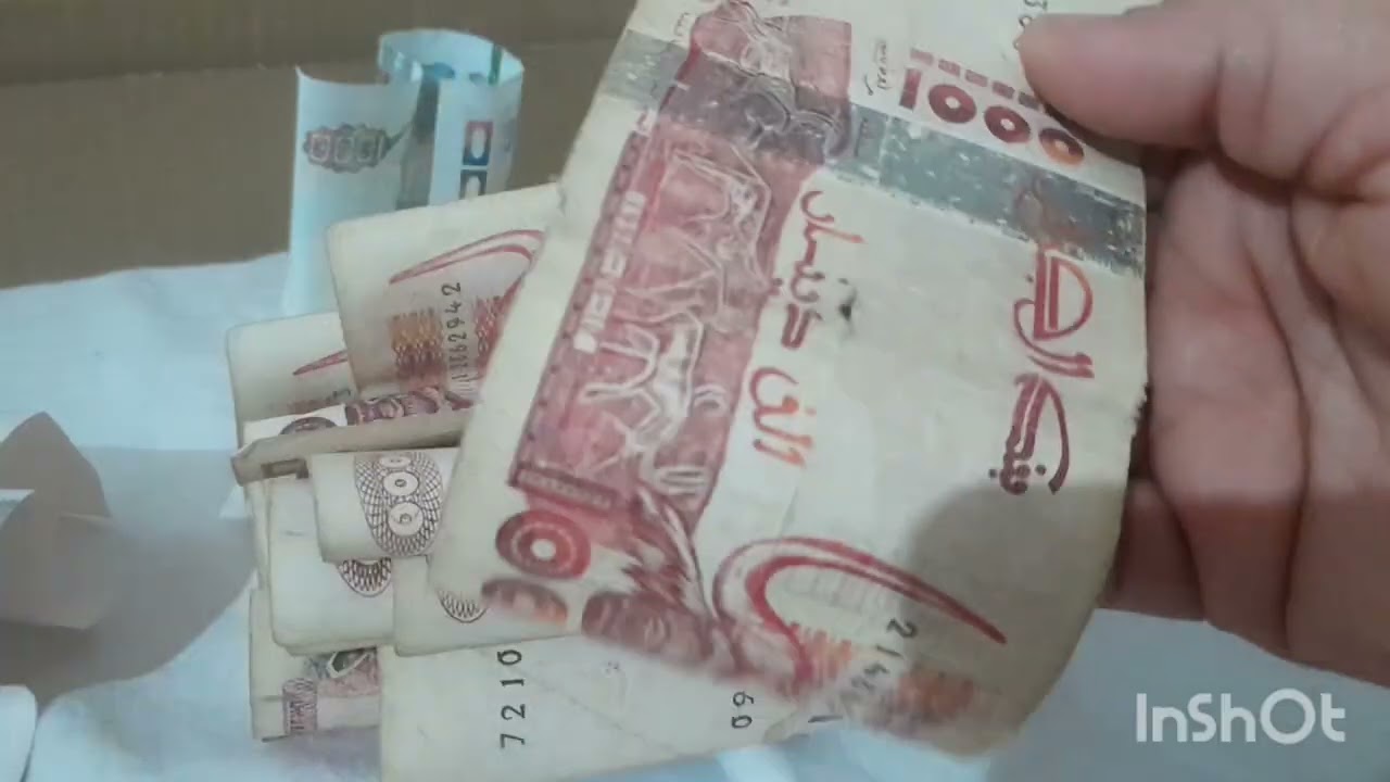 تحدي حصالة  فتحت حصالتي  بعد gاشهرشحال فيها كيفاش لقيتها انا منيش خدامة