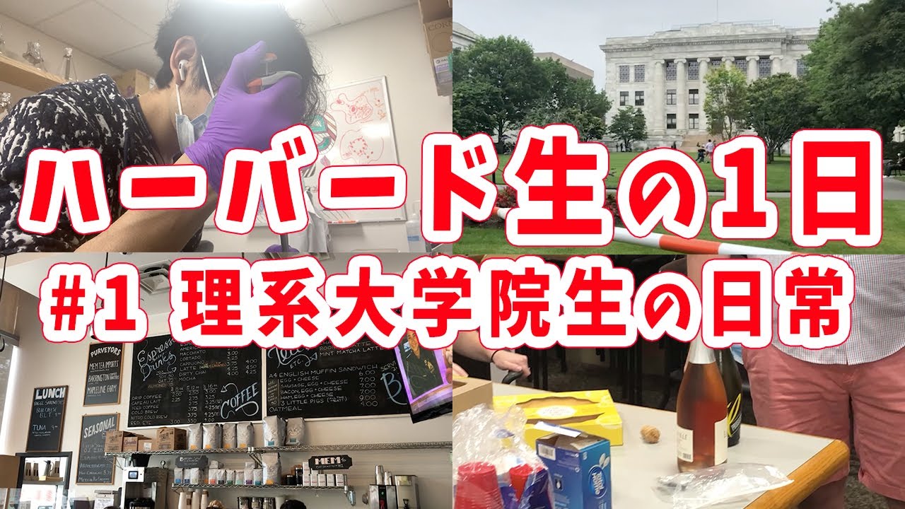 【ハーバード生の１日】理系大学院生の日常、全部見せます。【博士課程】