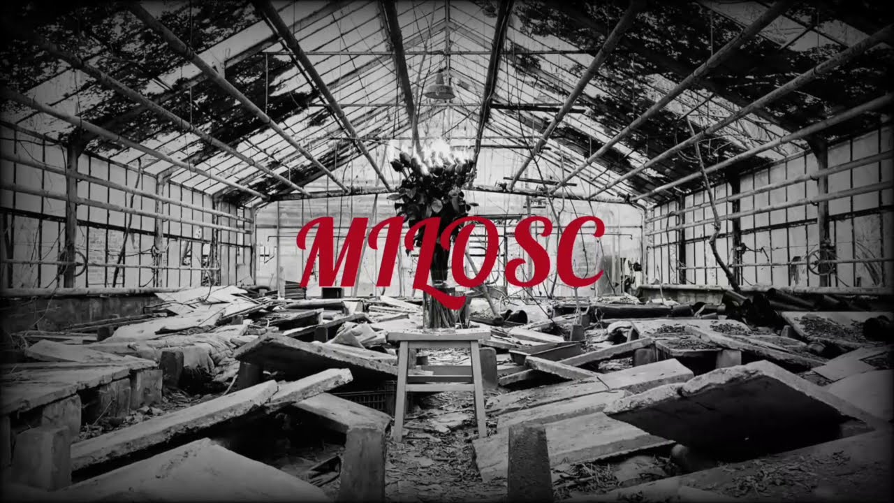 KaDoeM ft. CiaraCiarson - Miłość