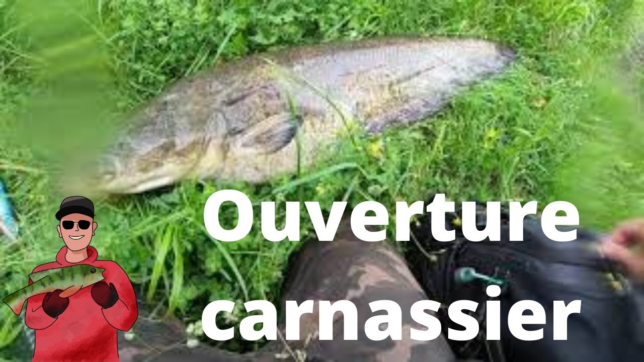 Ouverture carnassier 2020 : 123cm !
