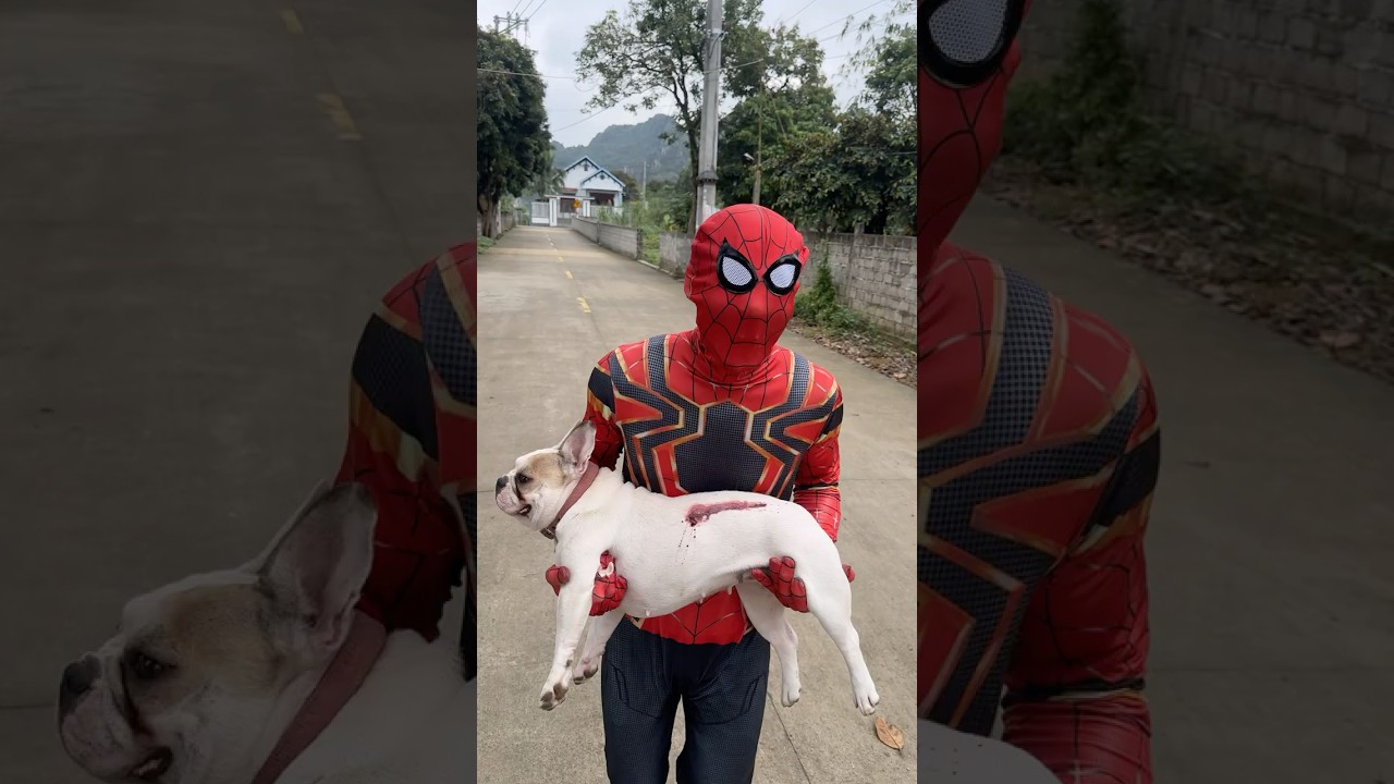Baby Rushes a Seriously Injured Dog to the Hospital #dog #pets #short