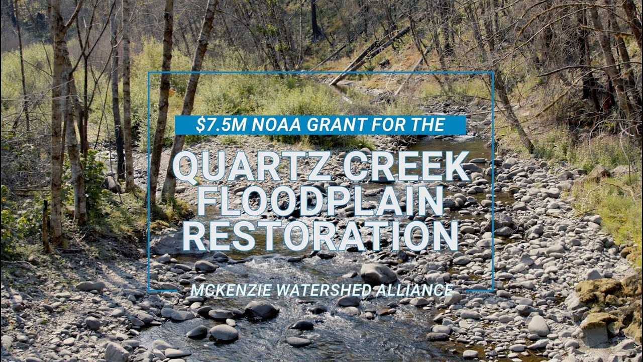 Quartz Creek Floodplain Enhancement Project