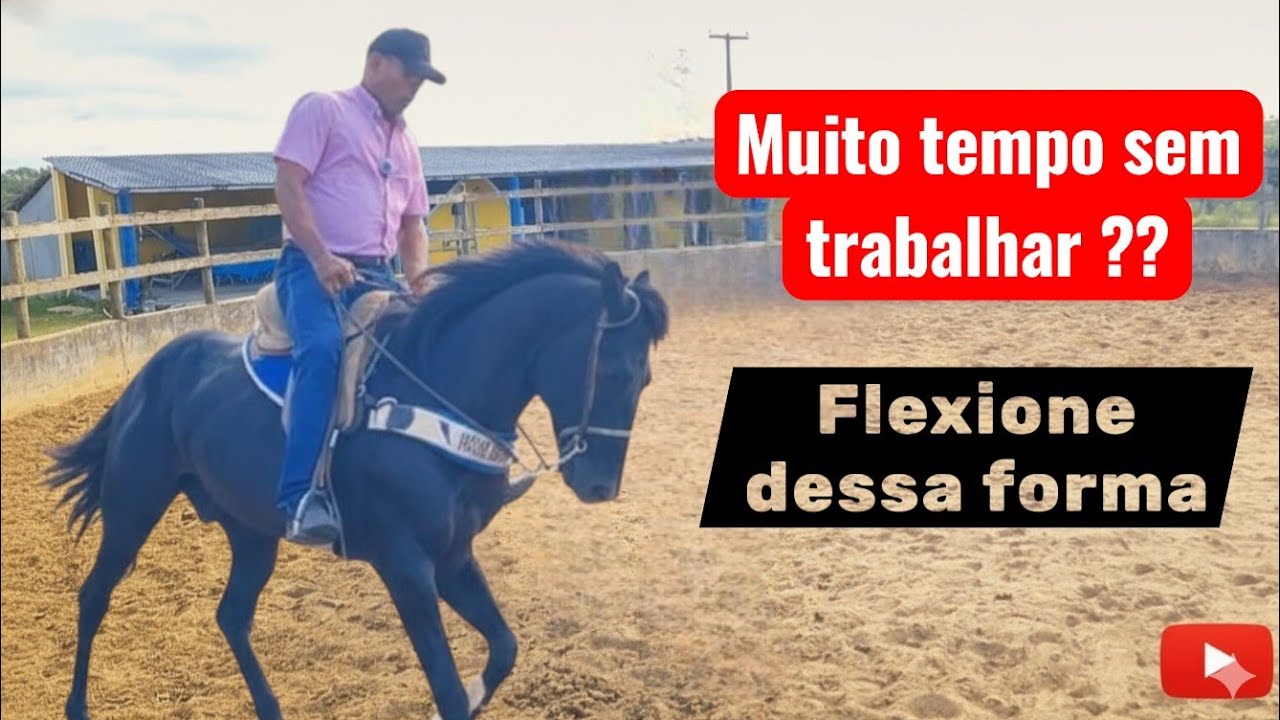 DE VOLTA AOS FLEXIONAMENTOS 