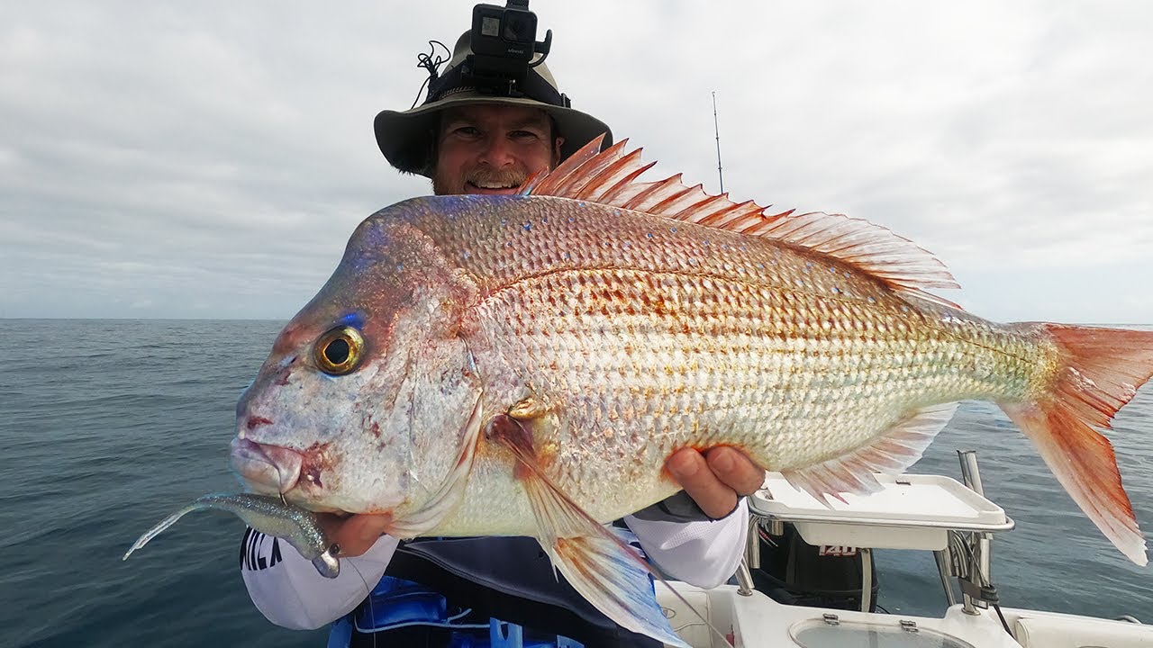Summer Snapper: Fishing on a 'Low' fish activity day