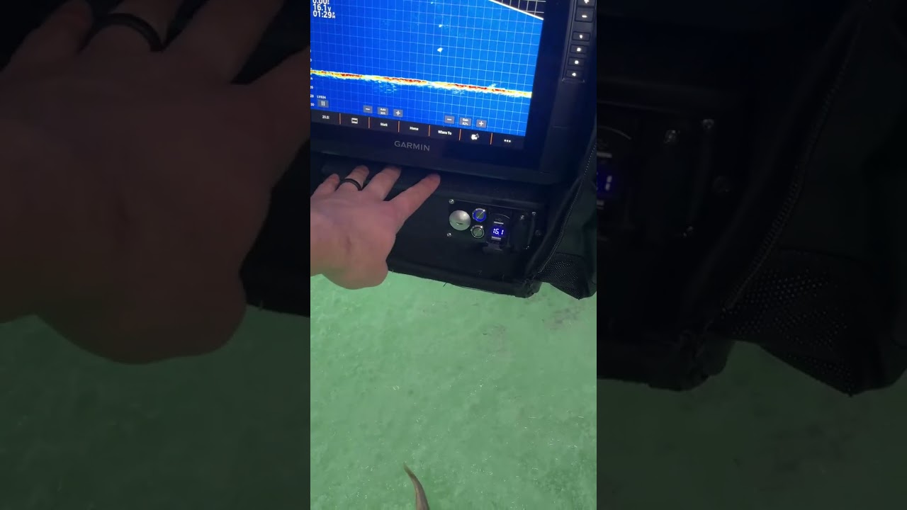 Livescope users, what shuttle did you go with? 