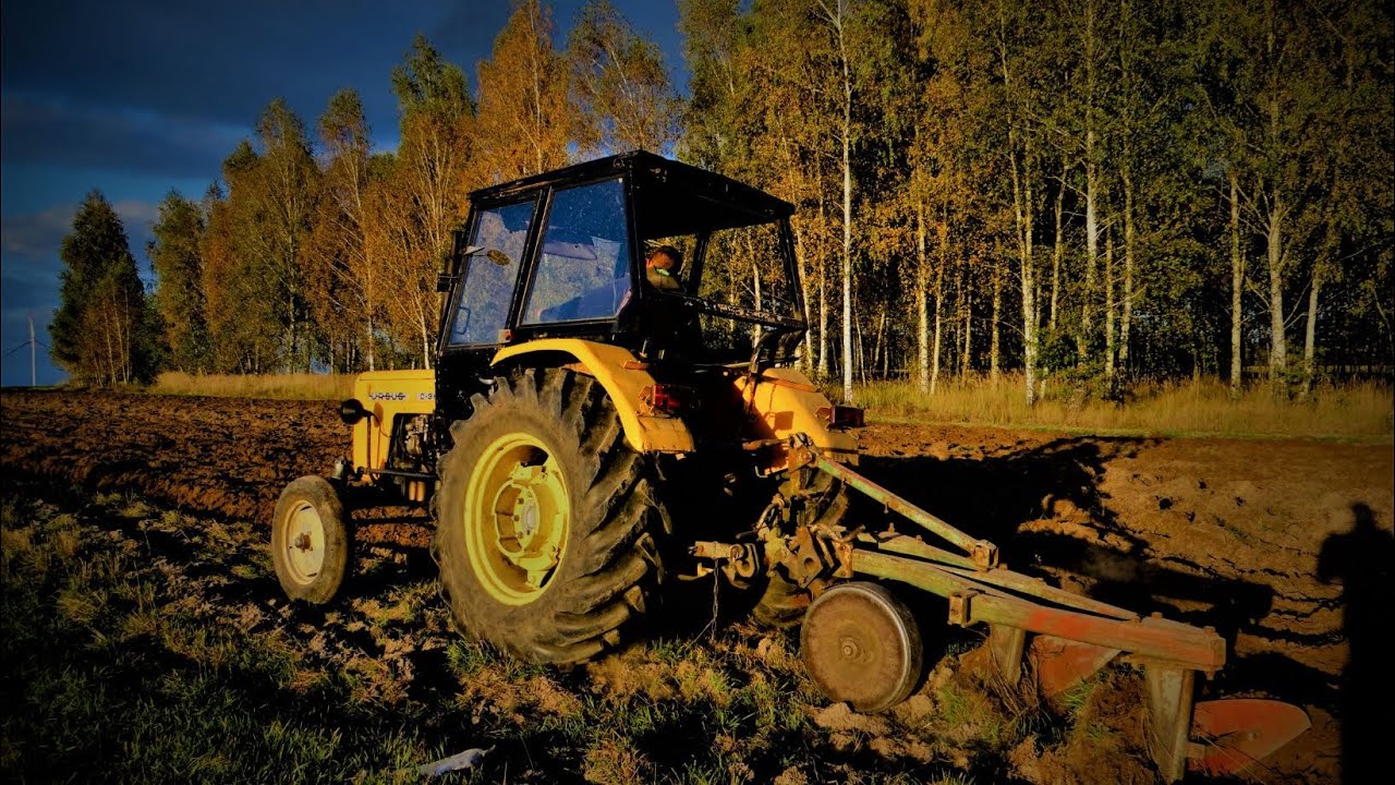 Ciężka Orka ! C355 Dostaje po garach czyli Ursus vs 3 skiby ! 😏🍂