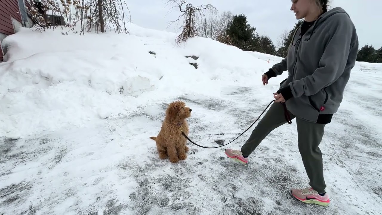 Fiona works on her “Stays”! 2.26.26