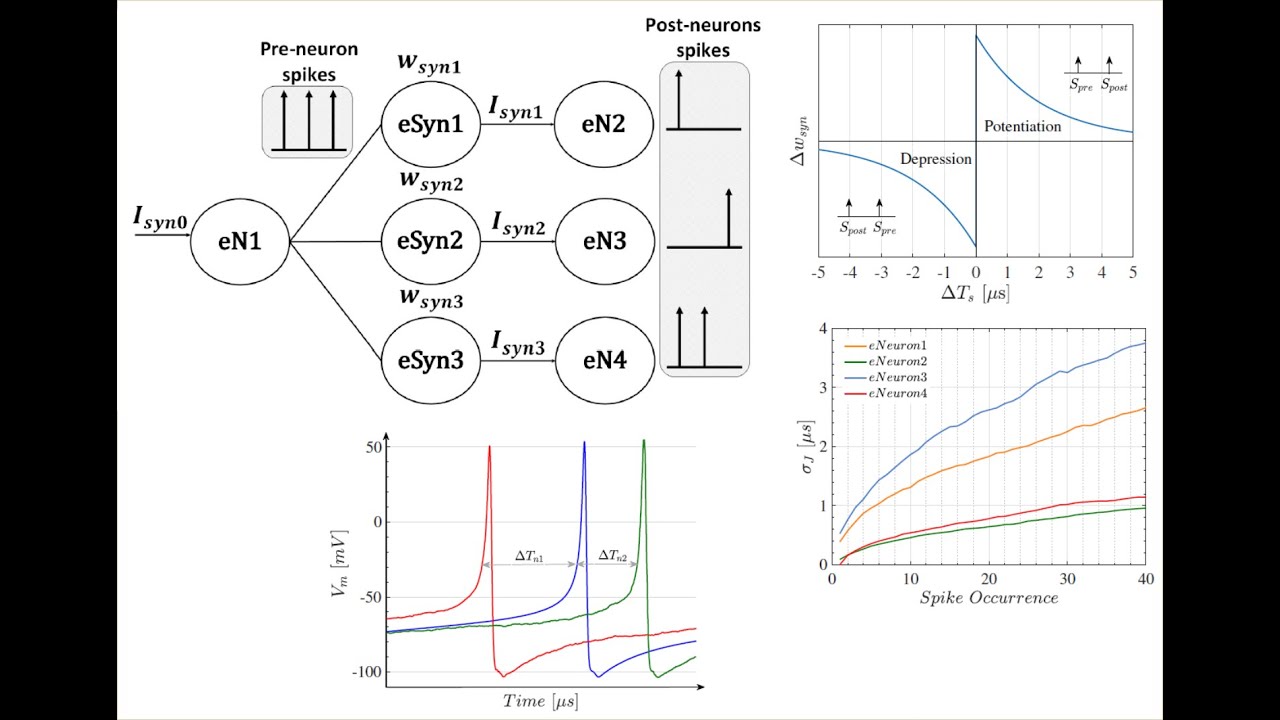 Jitter Noise Impact on SNNs and STDP Limits, paper presentation at SBCCI 2023