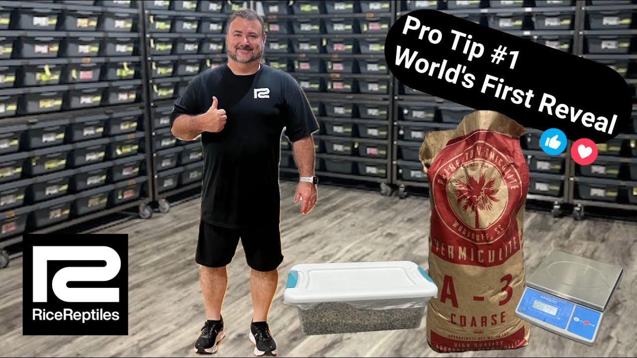 Pro Tip #1 - World's First Reveal
