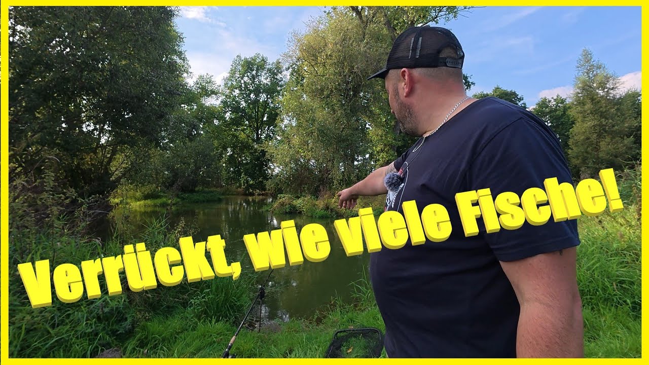 Angeln am kleinen Fluss mit Köderfisch und Wurm zum großen Erfolg #spree