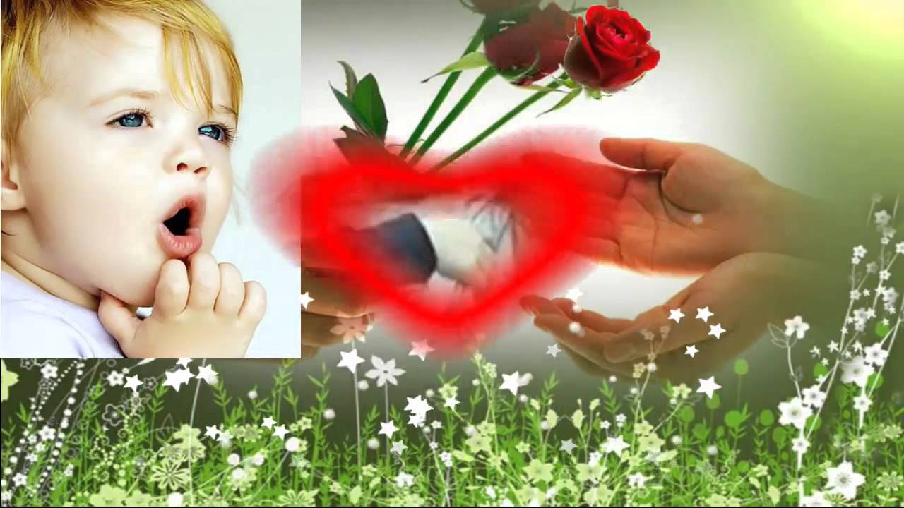 Andrea Jürgens - Eine Rose für dich