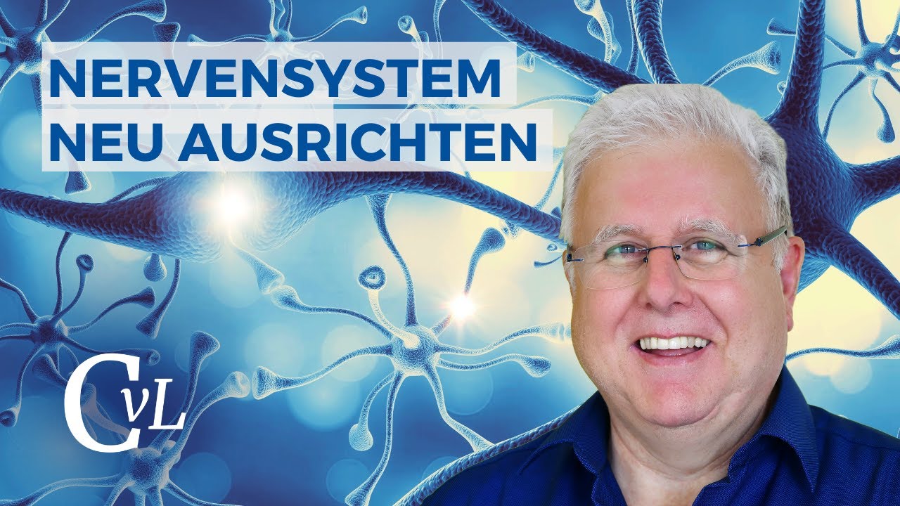Autonomes Nervensystem neu ausrichten, energetische Wirkung vom Gehirn bis zu den Organen
