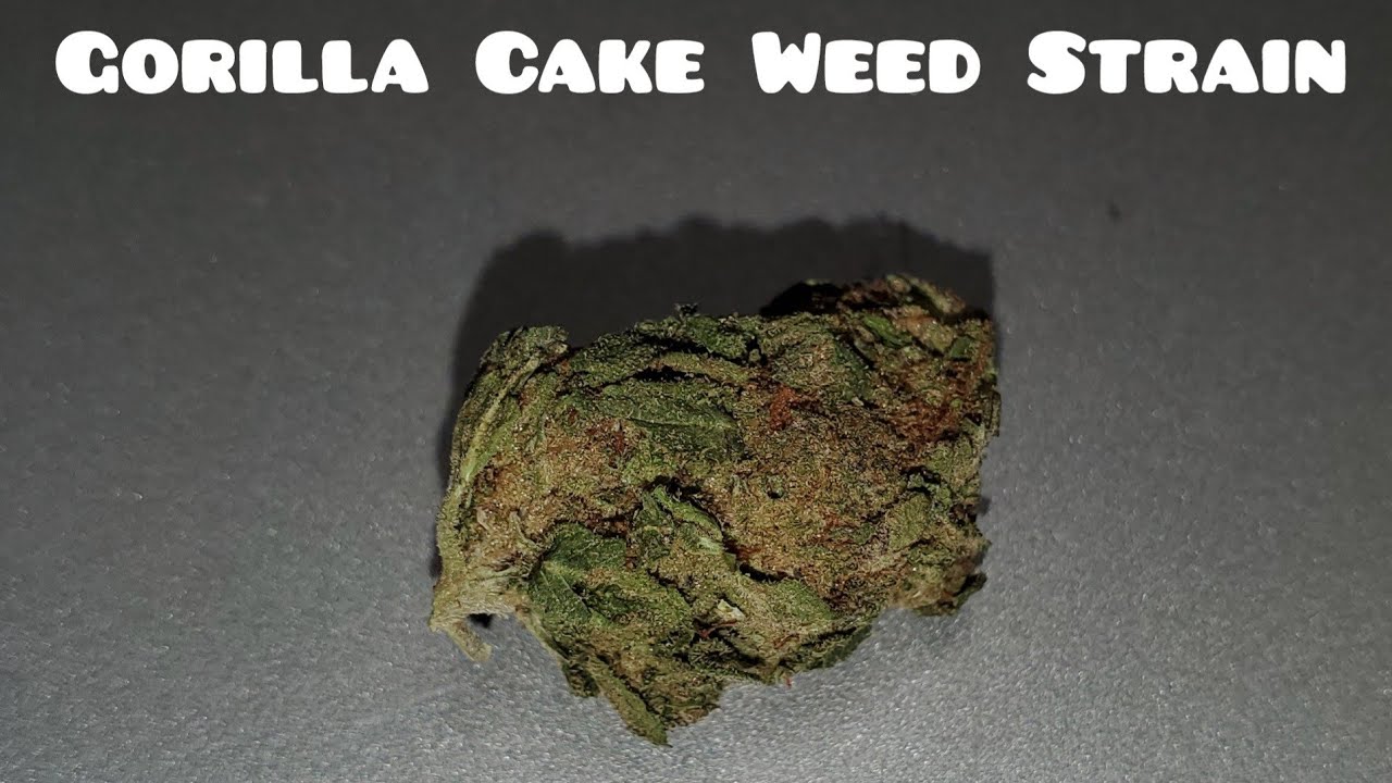 Gorilla Cake Weed Strain #weedreview #gorillacake #cannabis